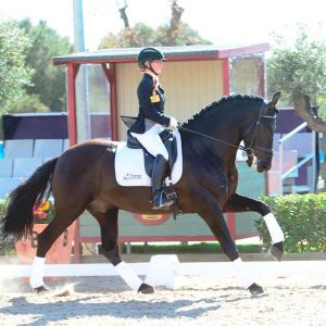 COPA ANCCE Dressage