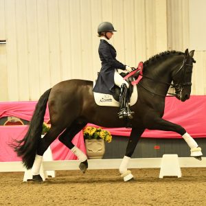 COPA ANCCE Dressage